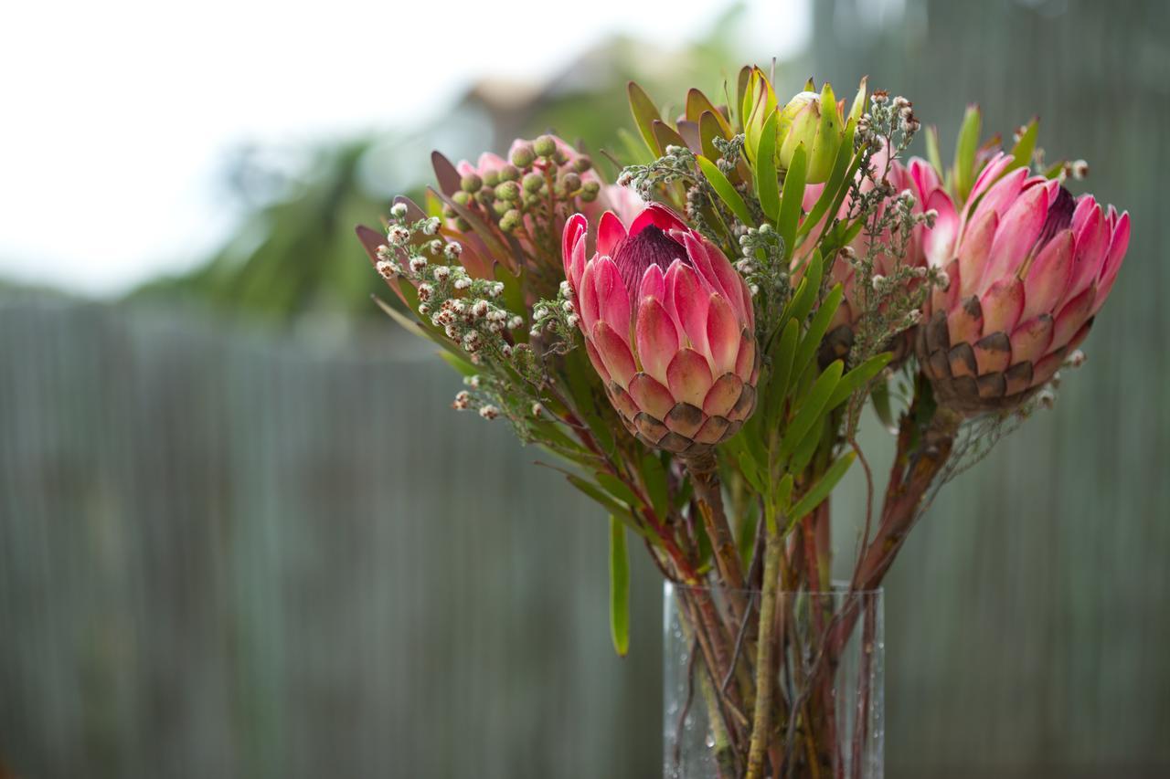 African Perfection 1 Jeffreys Bay Luaran gambar